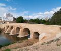 PuenteCarlosIII 8